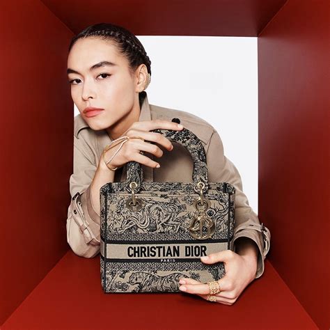 tote bag dior original|most popular christian dior bag.